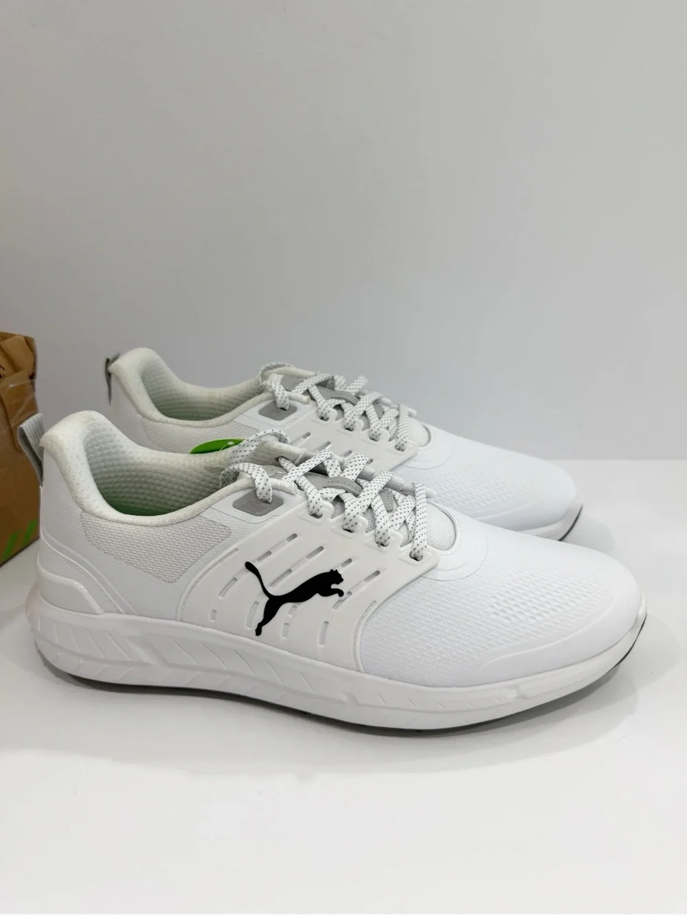 PUMA Men's IGNITE Elevate 2 Tour Golf Shoes